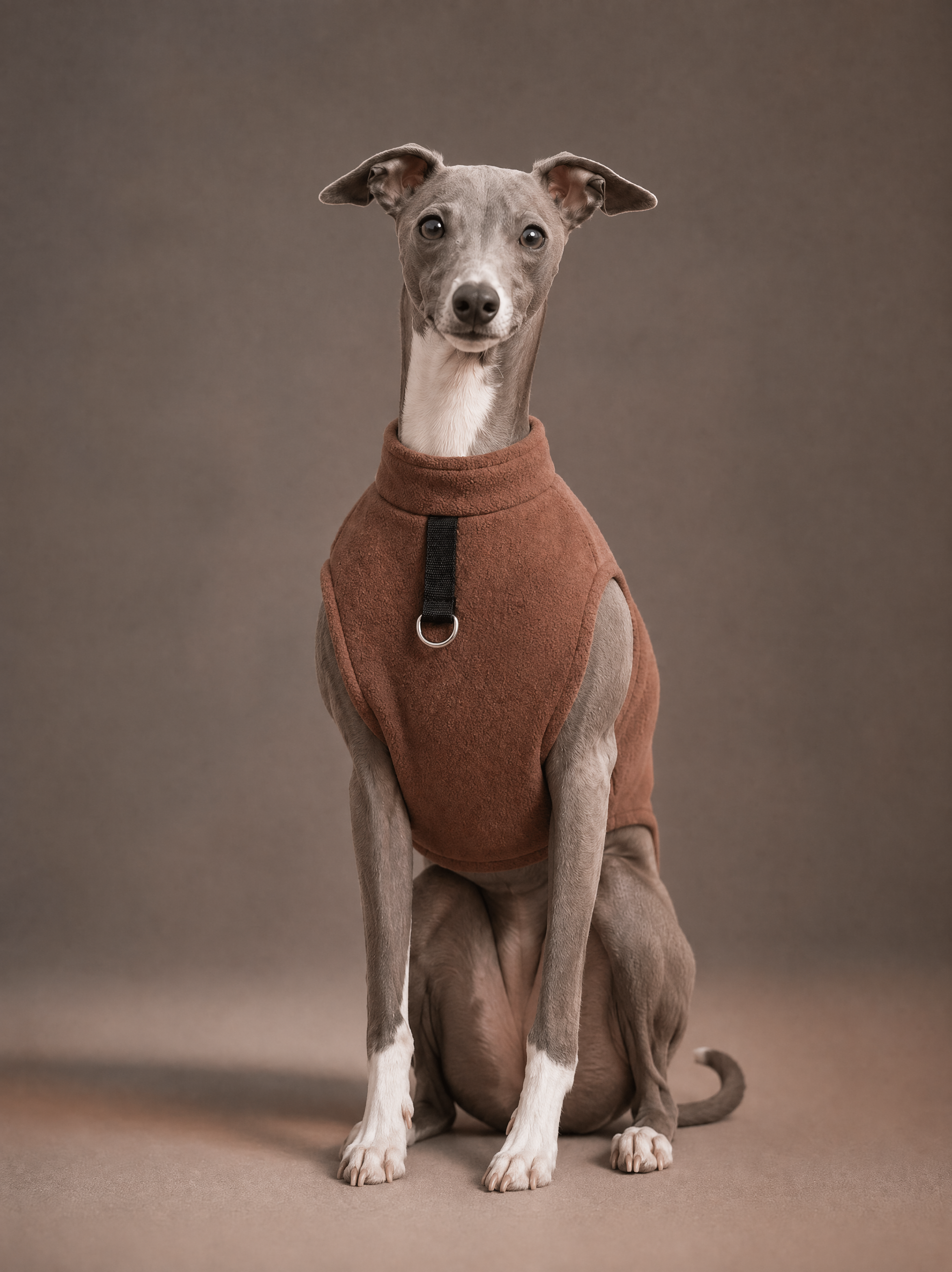 Editorial Pets